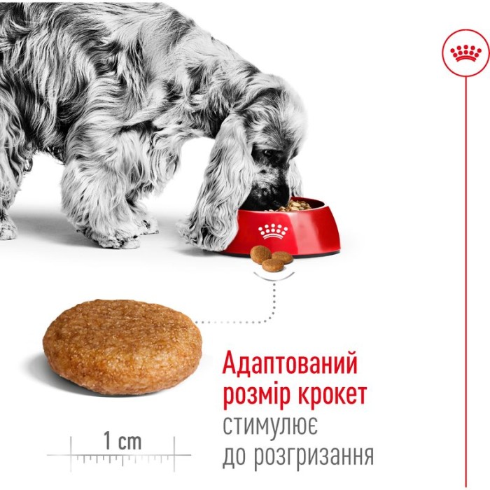 Корм для взрослых собак ROYAL CANIN MEDIUM ADULT 15.0 кг