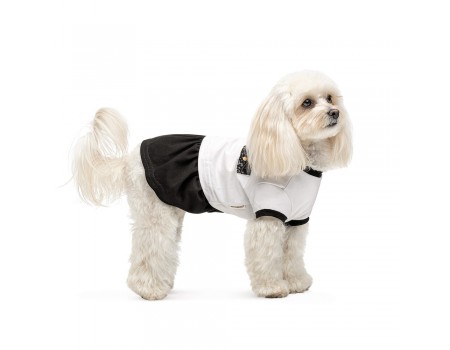 Платье Chanti ТМ Pet Fashion для собак M
