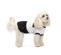 Сукня Chanti ТМ Pet Fashion для собак XS..