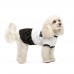 Сукня Chanti ТМ Pet Fashion для собак XS