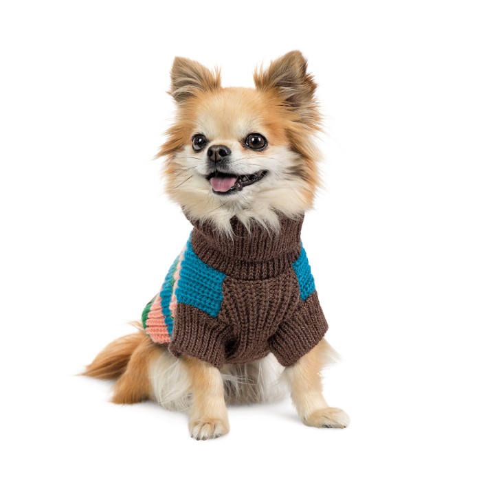 Pet Fashion Светр Happy XXS