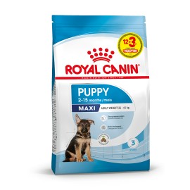 Корм для цуценят ROYAL CANIN MAXI PUPPY 12 кг + 3 кг..