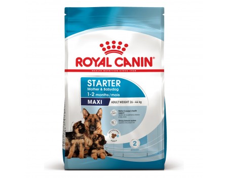 Royal Canin Maxi Starter Для щенков крупных размеров в период отъема до 2-месячного возраста 15 кг