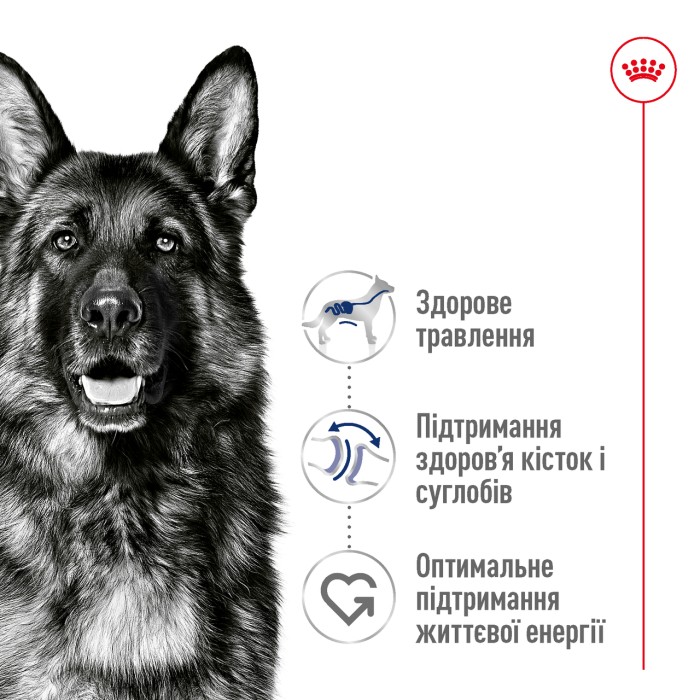 Корм для взрослых собак ROYAL CANIN MAXI ADULT 5+ 15.0 кг