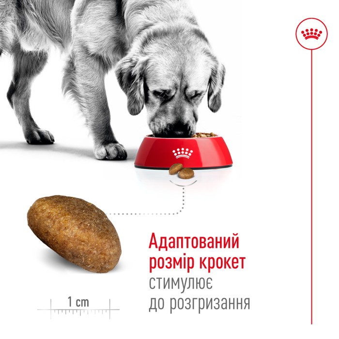 Корм для взрослых собак ROYAL CANIN MAXI ADULT 5+ 15.0 кг