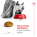 Royal Canin Xsmall Adult 8+ для собак мініатюрних розмірів від 8 до 12 років, 1,5 кг  - фото 5