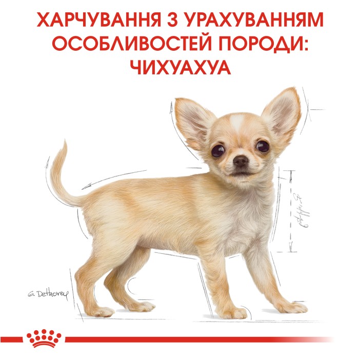 Корм для щенков ROYAL CANIN CHIHUAHUA PUPPY 0.5 кг
