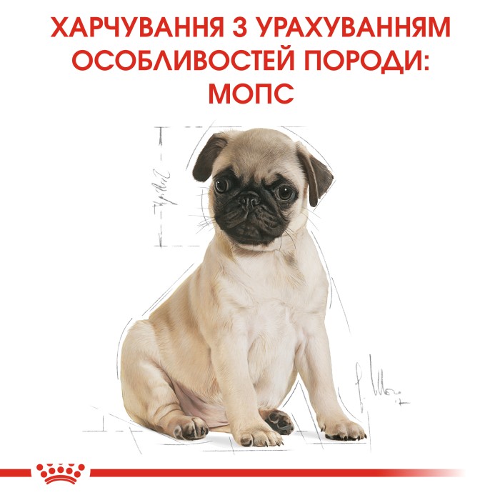 Корм для цуценят ROYAL CANIN PUG PUPPY 1.5 кг