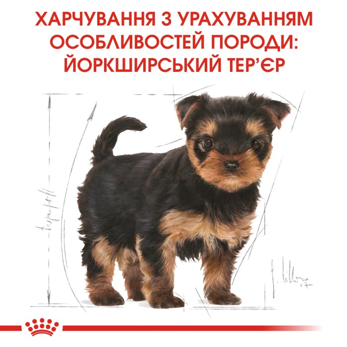 Корм для щенков ROYAL CANIN YORKSHIRE PUPPY 0.5 кг