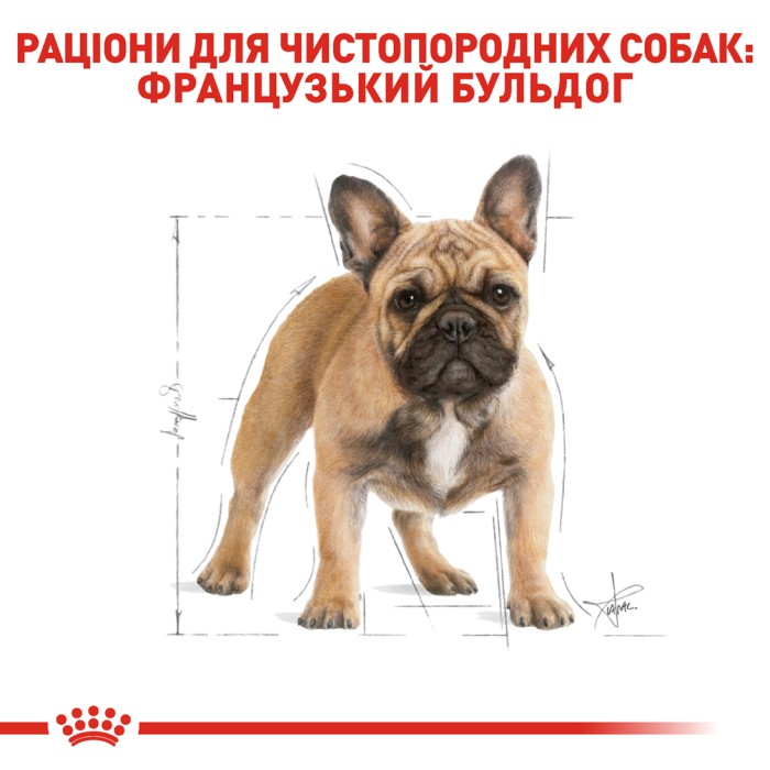 Корм для дорослих собак ROYAL CANIN FRENCH BULLDOG ADULT 3.0 кг