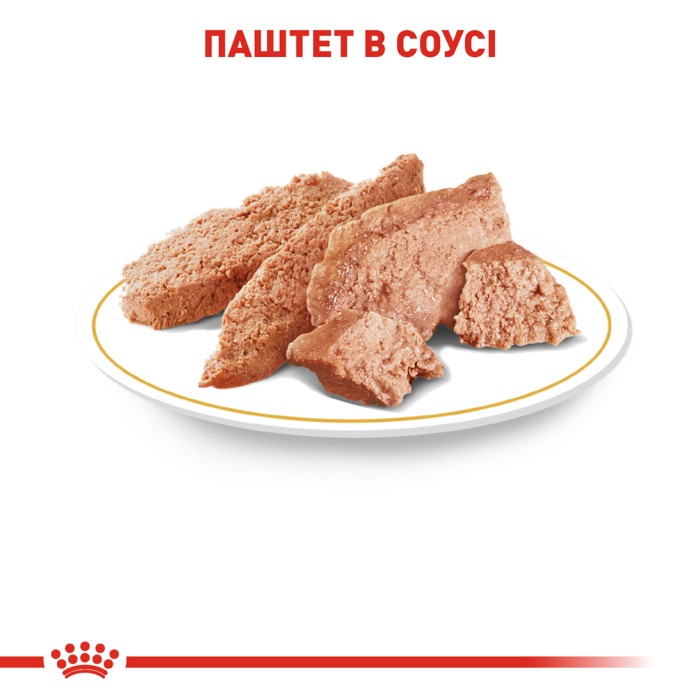 Вологий корм для дорослих собак ROYAL CANIN CHIHUAHUA ADULT 0.085 кг 