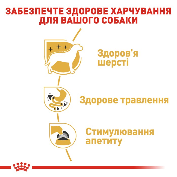 Вологий корм для дорослих собак ROYAL CANIN CHIHUAHUA ADULT 0.085 кг 