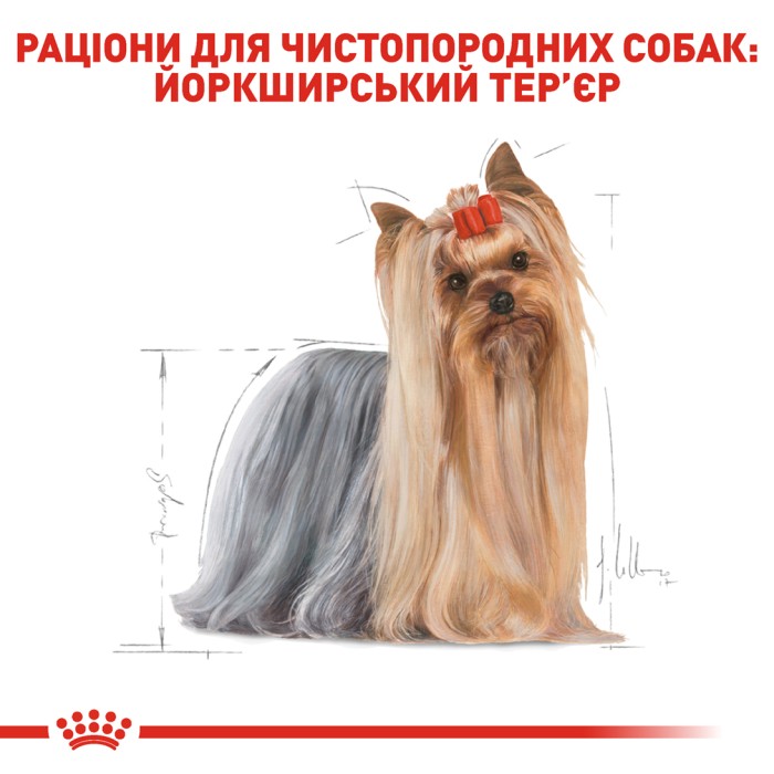 Вологий корм для дорослих собак ROYAL CANIN YORKSHIRE ADULT 0.085 кг 