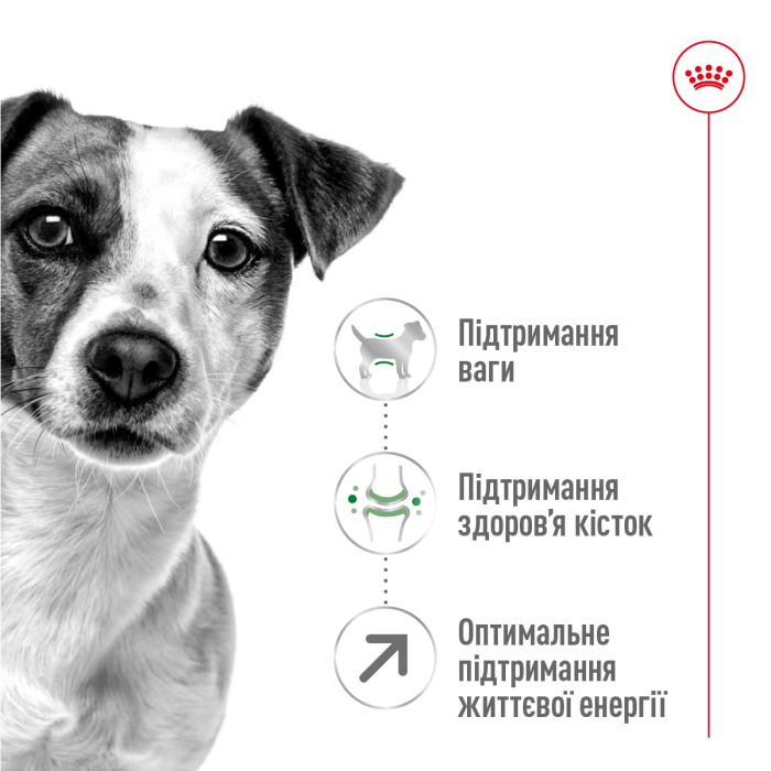 Корм для взрослых собак ROYAL CANIN MINI ADULT 8 + 0.8 кг