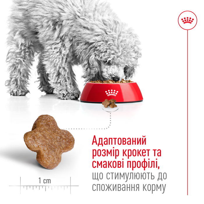 Корм для взрослых собак ROYAL CANIN MINI ADULT 8 + 0.8 кг