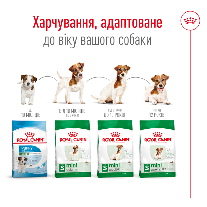Корм для взрослых собак ROYAL CANIN MINI ADULT 8 + 0.8 кг