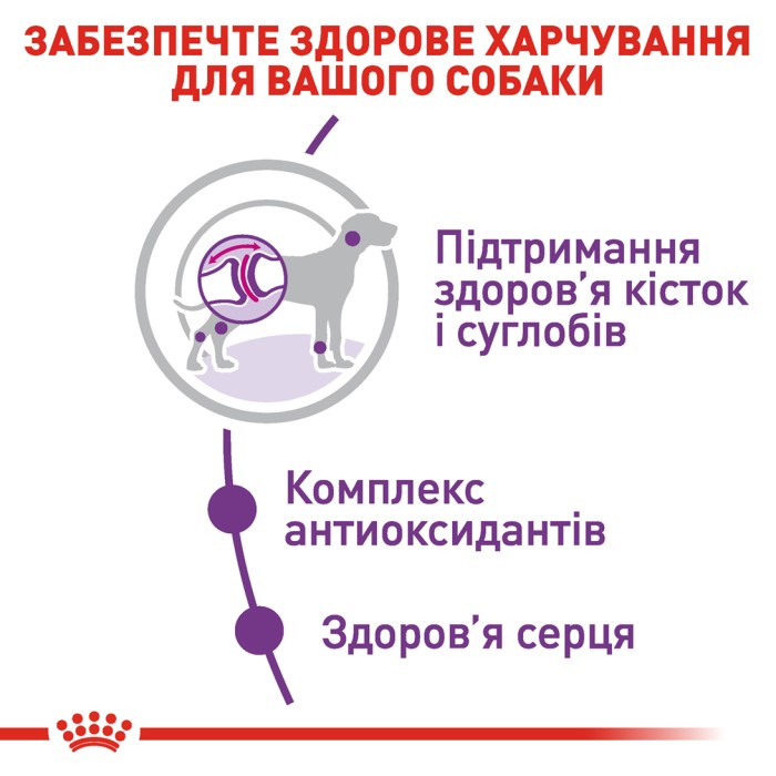 Корм для дорослих собак ROYAL CANIN GIANT ADULT  15.0 кг