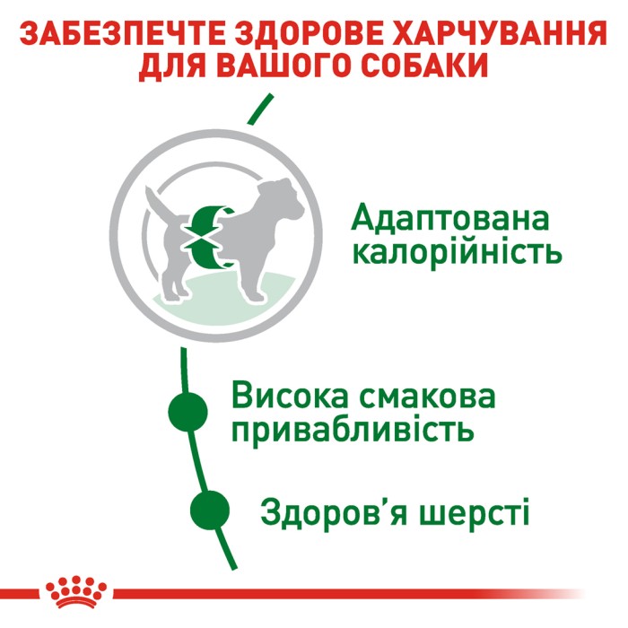 Корм для дорослих собак ROYAL CANIN MINI ADULT 8.0 кг