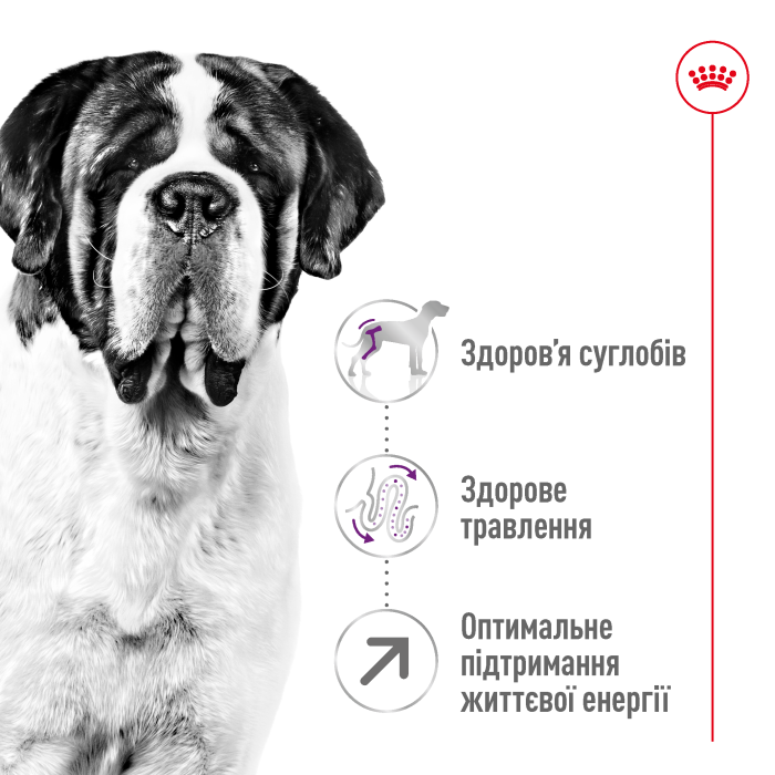 Корм для дорослих собак ROYAL CANIN GIANT ADULT  15.0 кг