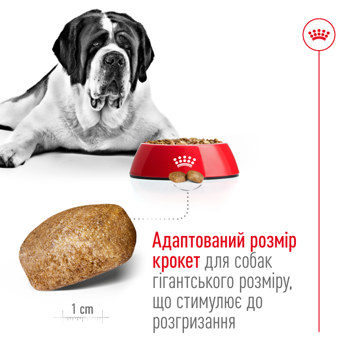 Royal Canin Giant Adult для собак старше 18/24 месяцев 4 кг
