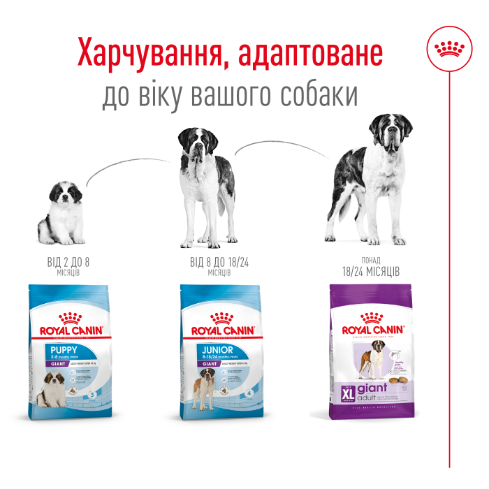 Royal Canin Giant Adult для собак старше 18/24 месяцев 4 кг