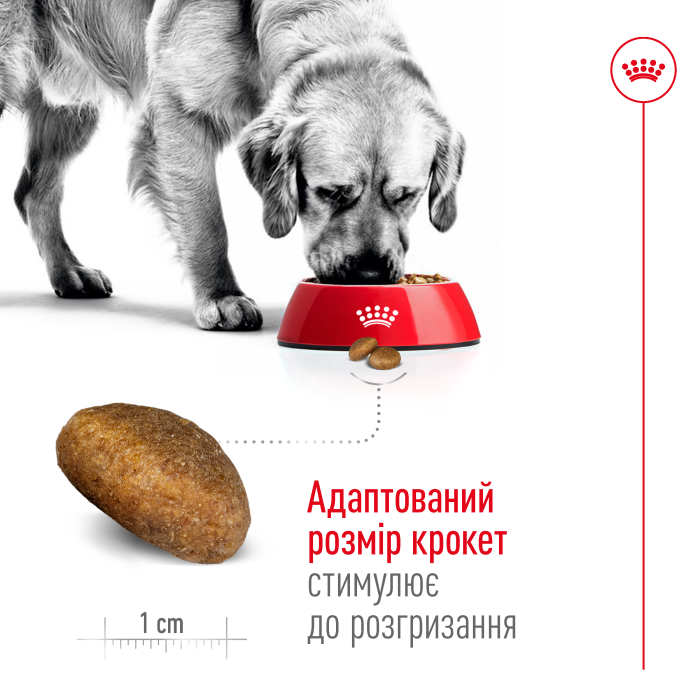 Корм для зрілих собак ROYAL CANIN MAXI AGEING 8+ 15.0 кг