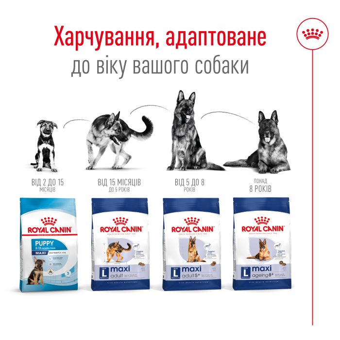 Корм для взрослых собак ROYAL CANIN MAXI ADULT 4.0 кг