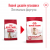 Royal Canin Medium Adult 7+, для стареющих собак средних размеров, 15 кг  - фото 2