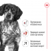 Royal Canin Medium Adult 7+, для стареющих собак средних размеров, 15 кг  - фото 3