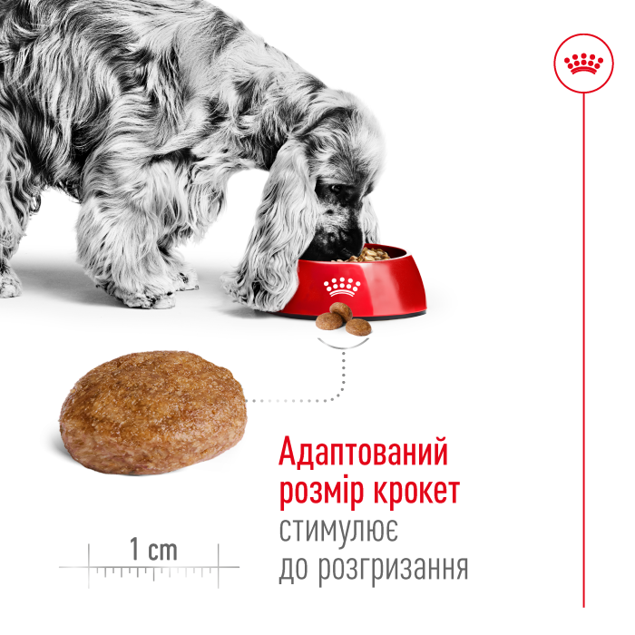 Корм для дорослих собак ROYAL CANIN MEDIUM ADULT 7+ 4.0 кг