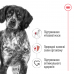 Корм для взрослых собак ROYAL CANIN MEDIUM ADULT 4.0 кг  - фото 3