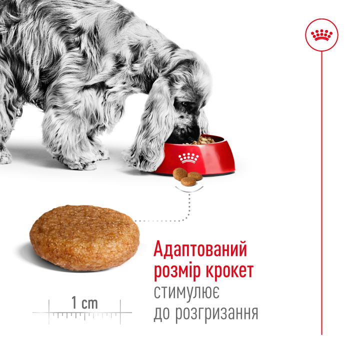 Корм для дорослих собак ROYAL CANIN MEDIUM ADULT 4.0 кг