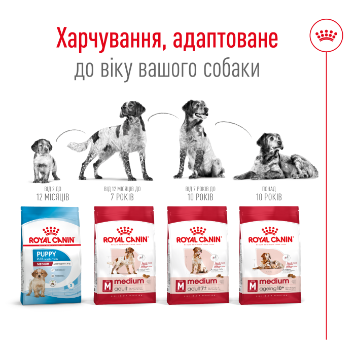 Корм для дорослих собак ROYAL CANIN MEDIUM ADULT 4.0 кг