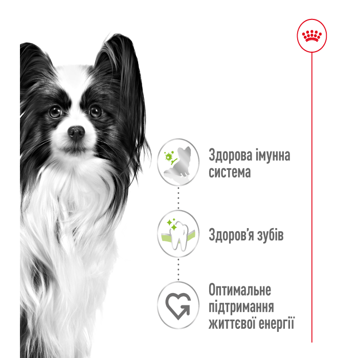 Корм для взрослых собак ROYAL CANIN XSMALL ADULT 1.5 кг