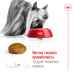 Корм для взрослых собак ROYAL CANIN XSMALL ADULT 0.5 кг  - фото 2