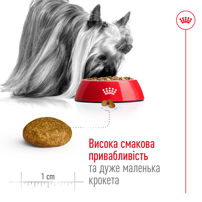 Корм для взрослых собак ROYAL CANIN XSMALL ADULT 1.5 кг