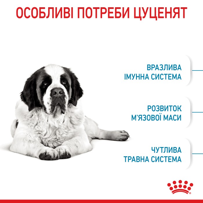 Корм для молодих собак ROYAL CANIN GIANT JUNIOR 15.0 кг