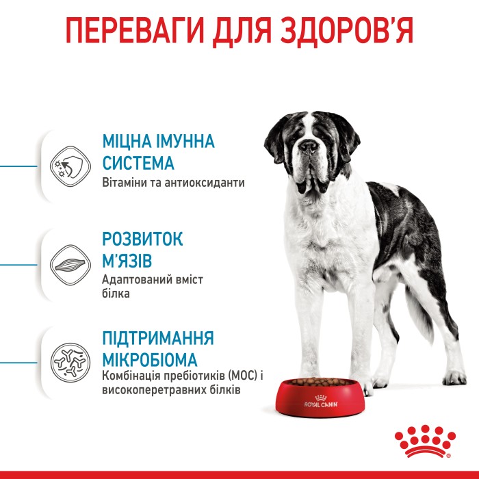 Корм для молодих собак ROYAL CANIN GIANT JUNIOR 15.0 кг