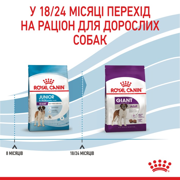 Корм для молодих собак ROYAL CANIN GIANT JUNIOR 15.0 кг