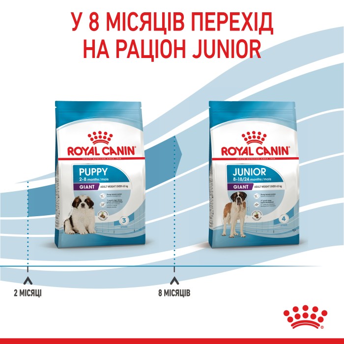 Корм для щенков ROYAL CANIN GIANT PUPPY 15.0 кг