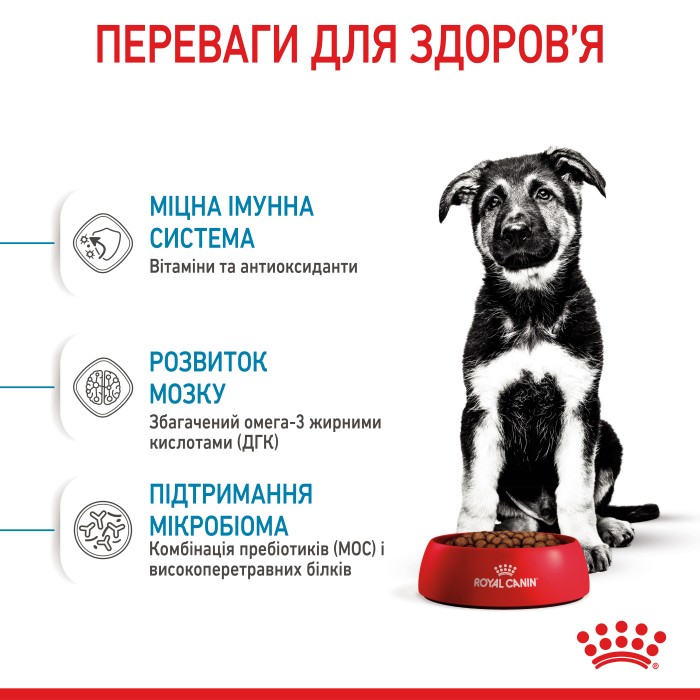 Корм для цуценят ROYAL CANIN MAXI PUPPY 12 кг + 3 кг