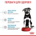 Корм для цуценят ROYAL CANIN MAXI PUPPY 1.0 кг  - фото 5