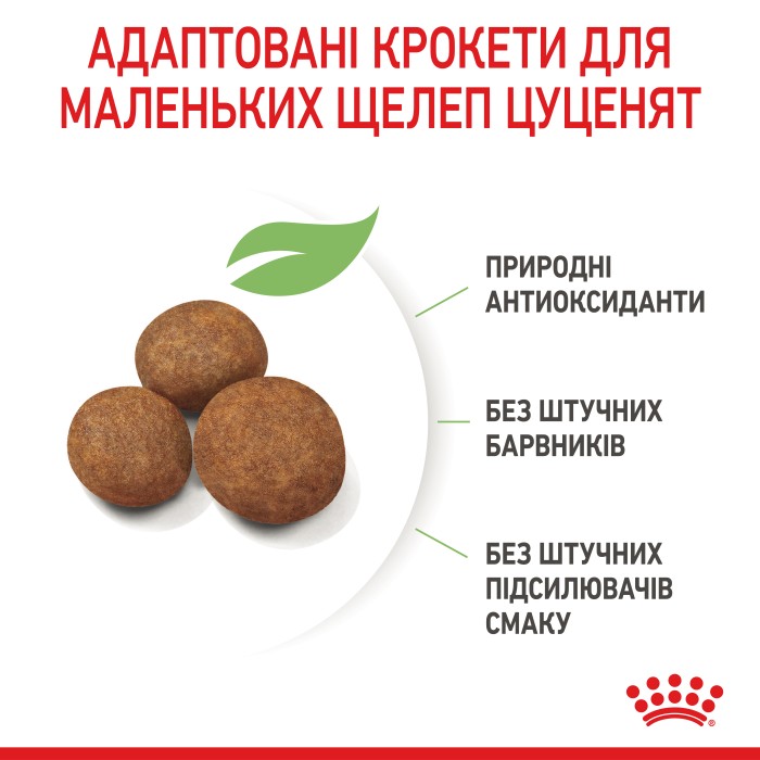 Корм для цуценят ROYAL CANIN MAXI PUPPY 12 кг + 3 кг