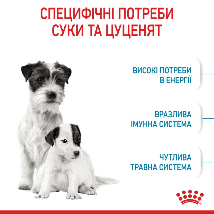 Корм для новонароджених собак ROYAL CANIN MINI STARTER 1 кг