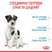 Корм для новорожденных собак ROYAL CANIN MINI STARTER 8 кг  - фото 4