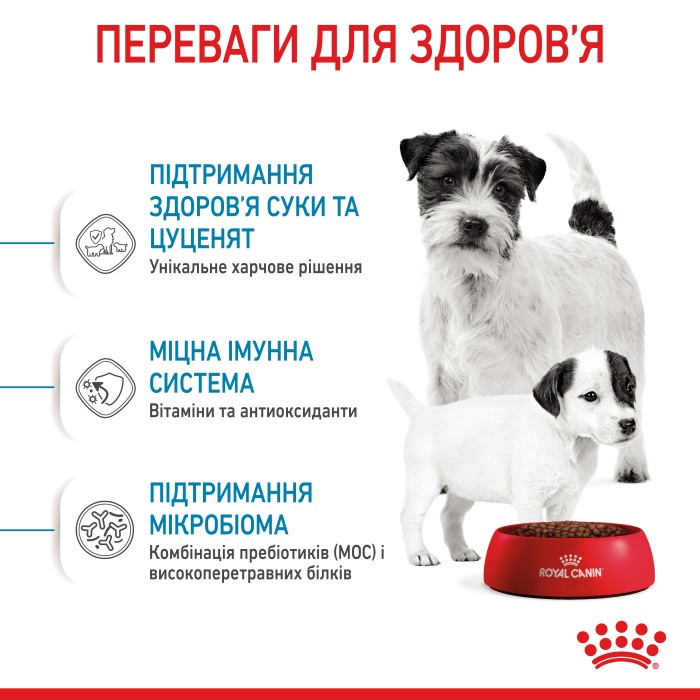 Корм для новонароджених собак ROYAL CANIN MINI STARTER 8 кг