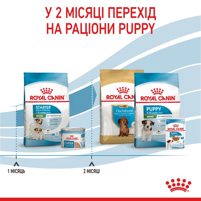 Корм для новонароджених собак ROYAL CANIN MINI STARTER 1 кг