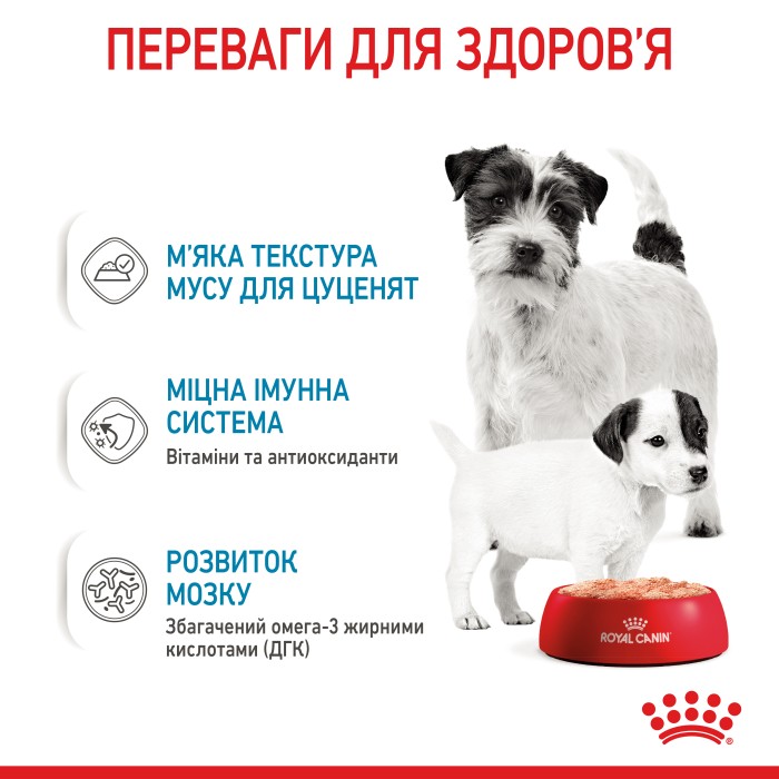 Вологий корм для новонароджених собак ROYAL CANIN STARTER MOUSE 0.195 кг