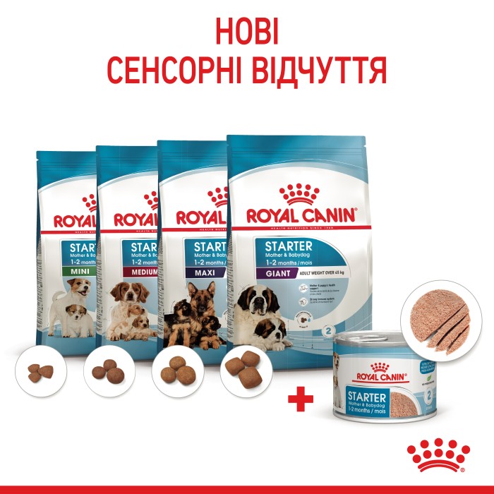 Вологий корм для новонароджених собак ROYAL CANIN STARTER MOUSE 0.195 кг