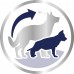 Корм для новонароджених собак ROYAL CANIN MAXI STARTER 4 кг  - фото 3